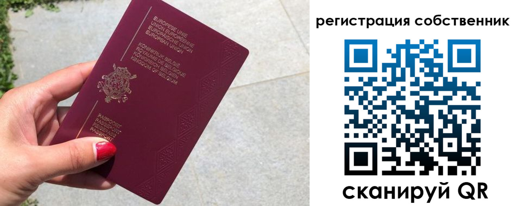 временная регистрация поиск в Пушкино